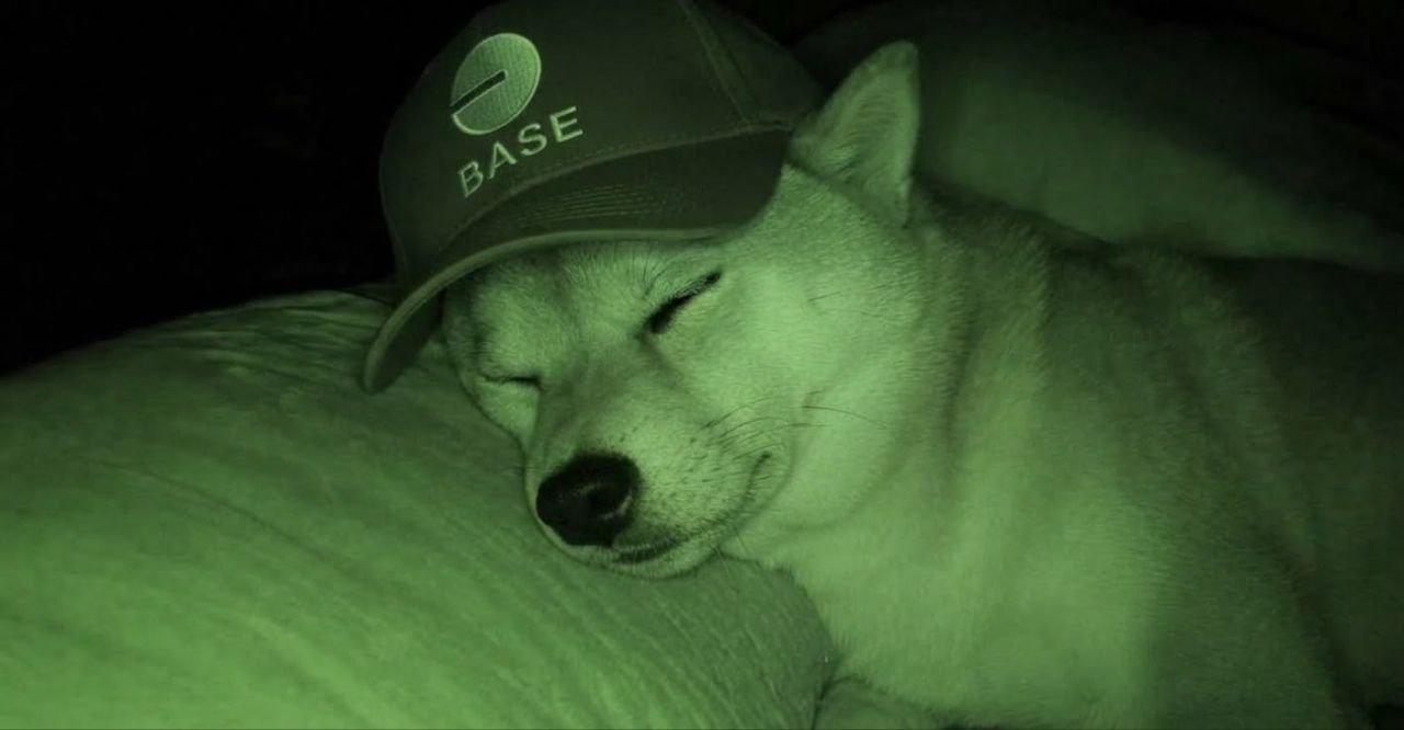 Base Inu meme 1